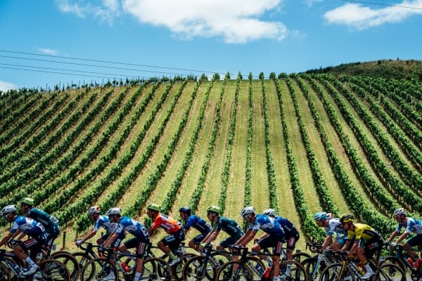 Tour Down Under through the Adelaide vineyards